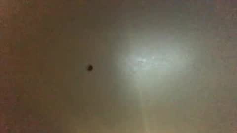 Snapshot of hardforyou3030 chatting on 28, 9, 2025 For You online show from 28, 9, 2025