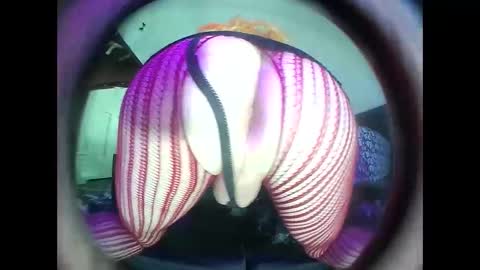 hardkoregigi online show from 19, 9, 2025