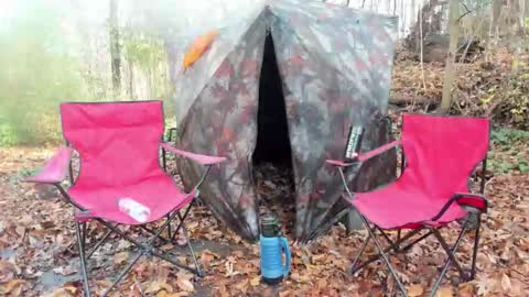 Snapshot of hardworkertn chatting on 8, 11, 2025 hardworkertn online show from 8, 11, 2025