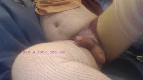 have_a_look_sea_wa online show from 12, 1, 2026