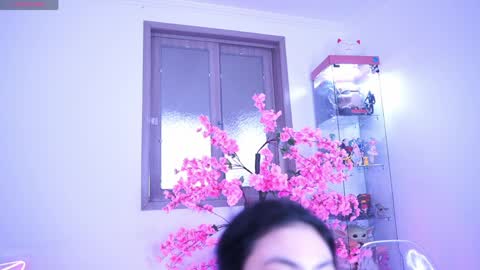  Hayami Dai  online show from 3, 4, 2026