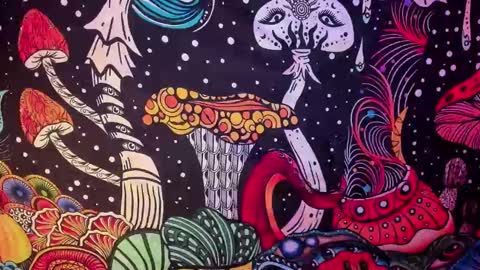   online show from 26, 2, 2025