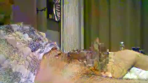 Snapshot of heddamedda59 chatting on 3, 4, 2026 heddamedda59 online show from 3, 4, 2026