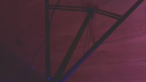    online show from 29, 10, 2025