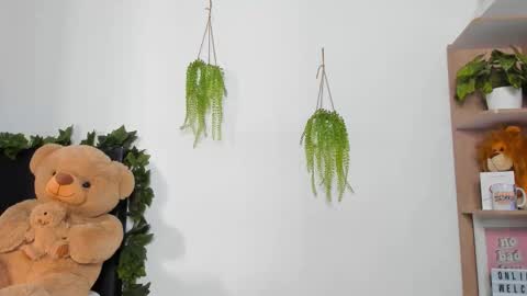 alan y zack online show from 7, 3, 2026