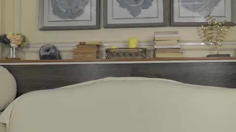    online show from 17, 1, 2026