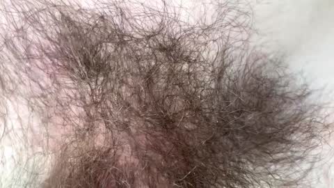 Arnold online show from 7, 2, 2025