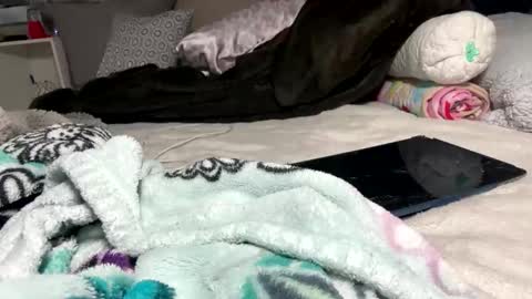Snapshot of hibye5729 chatting on 5, 6, 2026 Bondage blondiie online show from 5, 6, 2026
