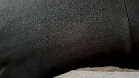 Snapshot of higheguy chatting on 20, 2, 2026 higheguy online show from 20, 2, 2026