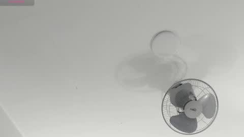 hilary_tailor online show from 14, 1, 2026