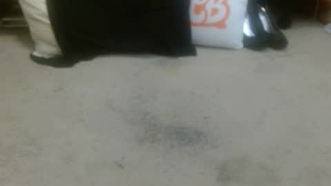 Holly Hawkes online show from 3, 2, 2026