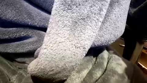 Neal online show from 23, 3, 2026