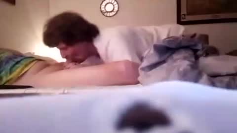 Snapshot of homer4038 chatting on 18, 2, 2025 Sebastians Mess online show from 18, 2, 2025