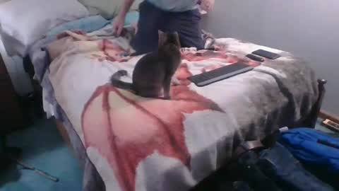 Snapshot of homer4038 chatting on 4, 10, 2025 Sebastians Mess online show from 4, 10, 2025