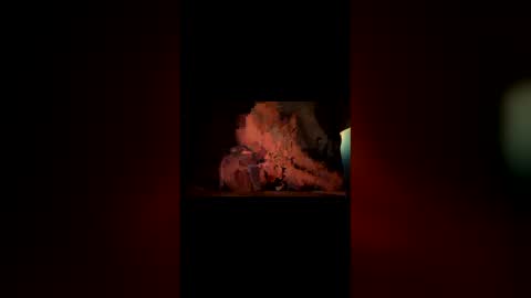 hoodiehoe online show from 3, 3, 2026