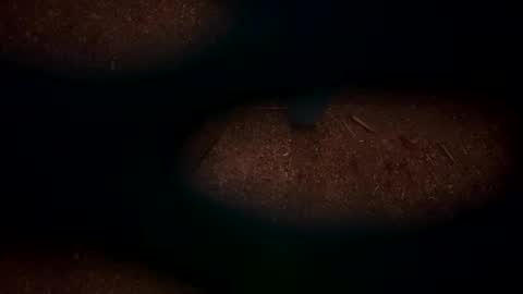 Snapshot of hopper_in_joyce chatting on 2, 3, 2025 hopper_in_joyce online show from 2, 3, 2025