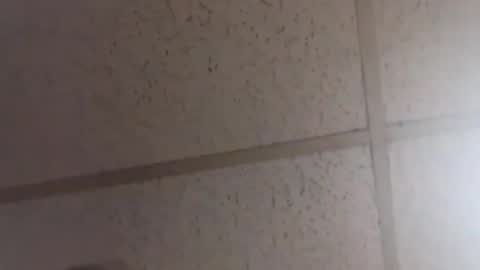 Dominick Subversal online show from 20, 2, 2026