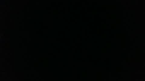 phanice online show from 12, 11, 2025