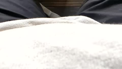 Snapshot of hornyallthetime6969696969 chatting on 15, 7, 2026 Tiny cock online show from 15, 7, 2026