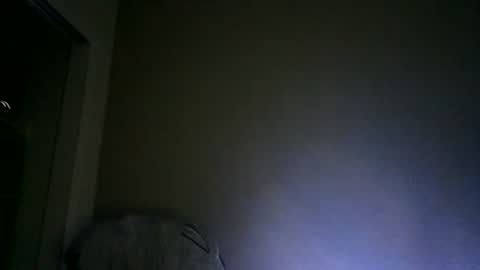 Snapshot of hornyaznguy520 chatting on 17, 7, 2026 AznGuy online show from 17, 7, 2026