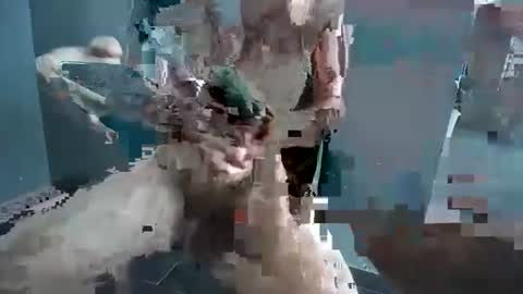 Snapshot of hornyrippa chatting on 22, 12, 2024 Hornyrippa online show from 22, 12, 2024