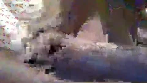 Snapshot of hot_alynn chatting on 2, 10, 2025 ALLYN online show from 2, 10, 2025