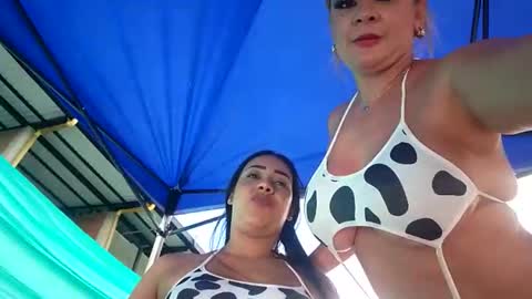 kittens online show from 16, 4, 2026