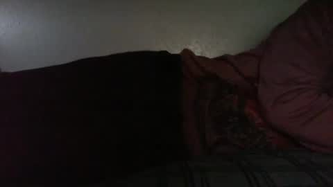 Bitch for abuse online show from 16, 4, 2026