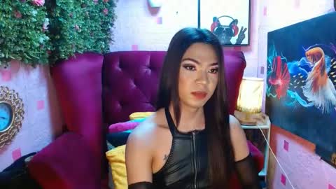 Summer online show from 14, 1, 2025