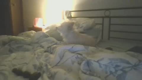 Snapshot of hottnready4u chatting on 5, 1, 2025 Hottnready4u online show from 5, 1, 2025