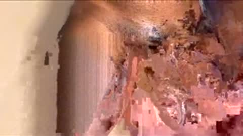 houseesposo online show from 24, 11, 2025