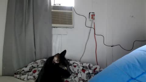 Snapshot of houseflipper chatting on 1, 8, 2026 houseflipper online show from 1, 8, 2026