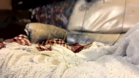 ask me online show from 11, 10, 2025