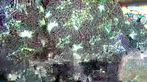 hp58649blabla online show from 24, 9, 2025