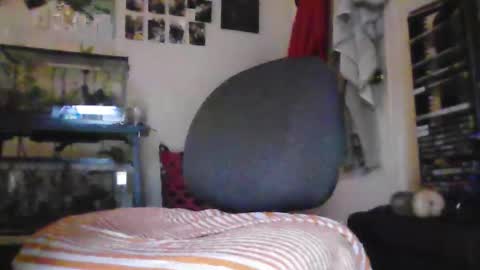 hrnyymff online show from 28, 11, 2025