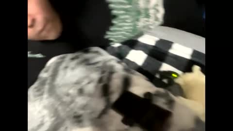 htfsb online show from 15, 2, 2026