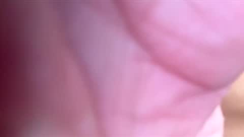 Snapshot of htwnswangn9 chatting on 3, 3, 2026 htwnswangn9 online show from 3, 3, 2026