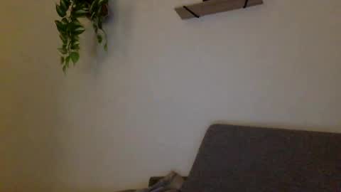 Snapshot of hugeswedishviking chatting on 13, 12, 2024 hugeswedishviking online show from 13, 12, 2024