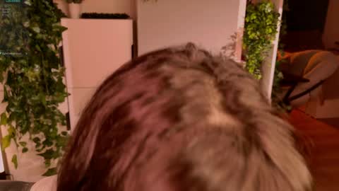 Mika online show from 15, 4, 2026