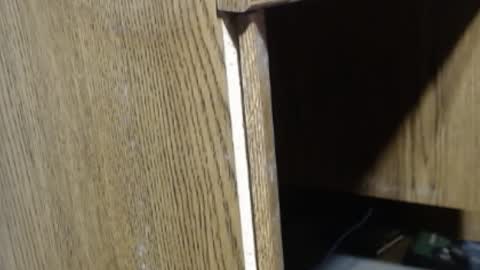 hungsofine online show from 18, 12, 2024