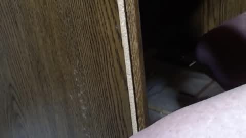 hungsofine online show from 7, 2, 2025