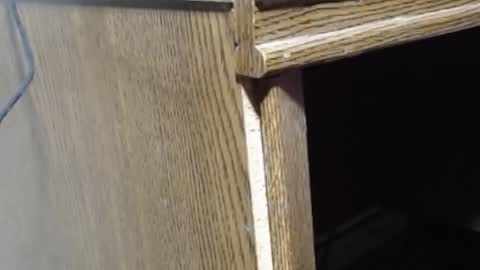 hungsofine online show from 19, 2, 2025