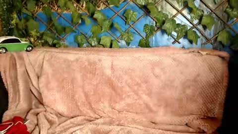 Kayla online show from 21, 12, 2024