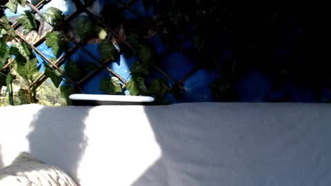 Kayla online show from 3, 3, 2025