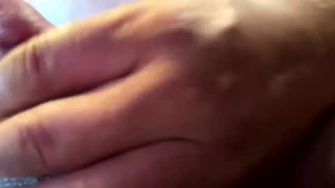 hvalbrecht online show from 12, 1, 2025