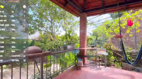 Your submissive lady 3 online show from 12, 11, 2025