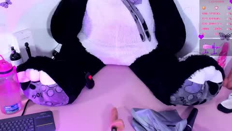 Snapshot of iamstephanie13 chatting on 23, 1, 2025 Steph - Online Again - 1 DECEMBER online show from 23, 1, 2025