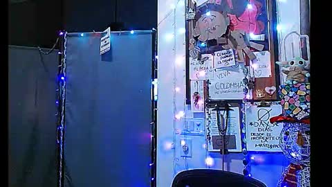 Snapshot of ibpms247 chatting on 1, 1, 2025 PMS online show from 1, 1, 2025