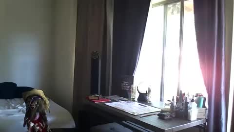 Snapshot of ibpms247 chatting on 13, 10, 2025 PMS online show from 13, 10, 2025