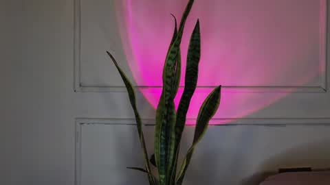 Crystall online show from 3, 10, 2025